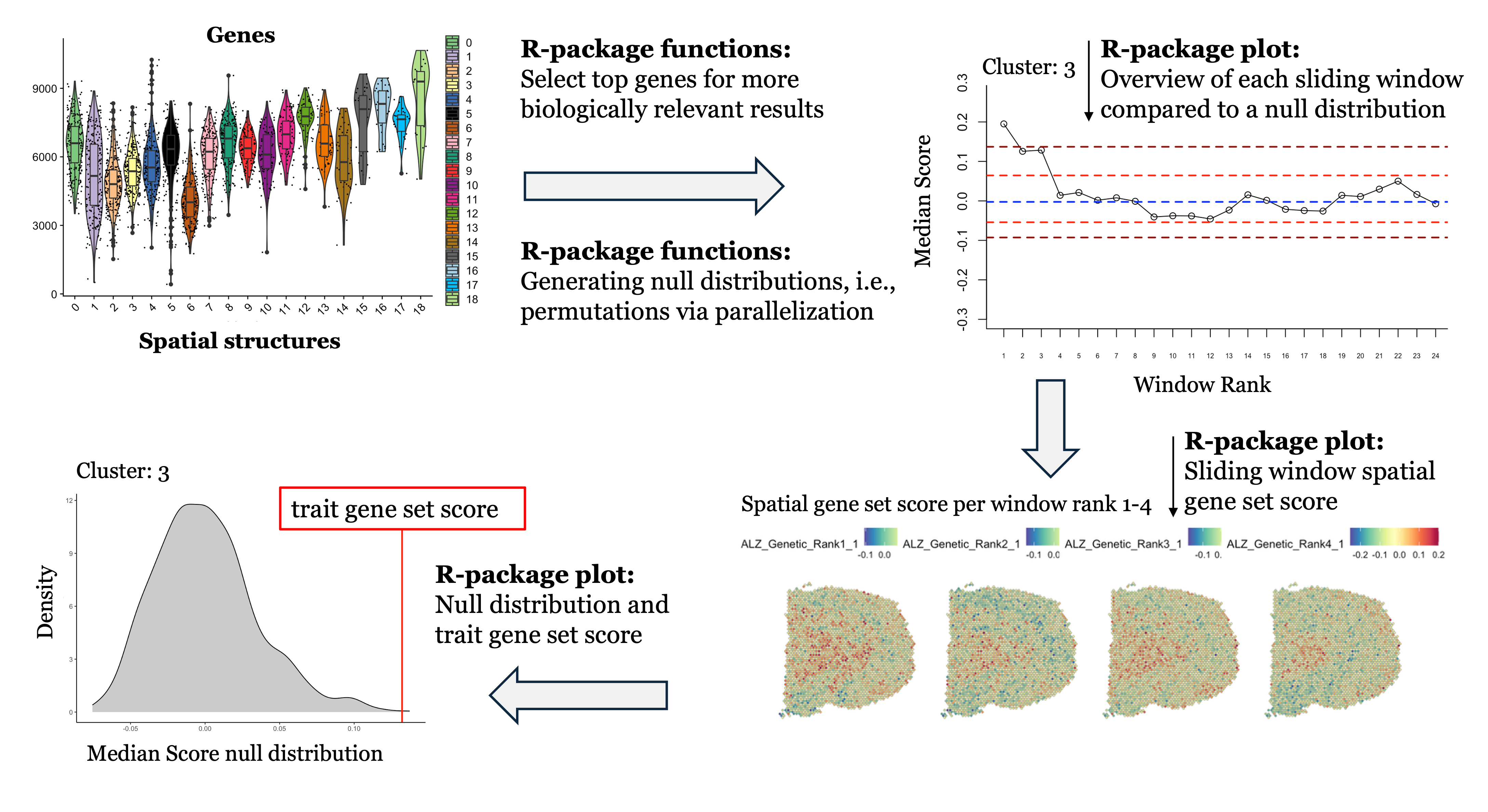 STEAM R-package