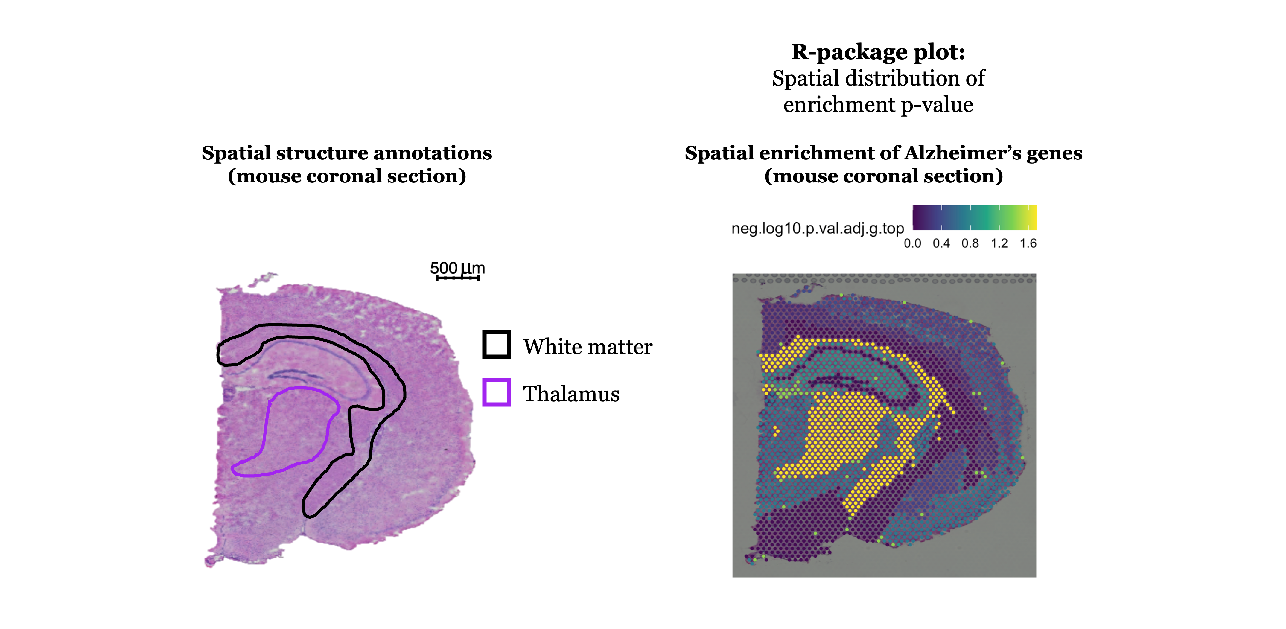 STEAM R-package